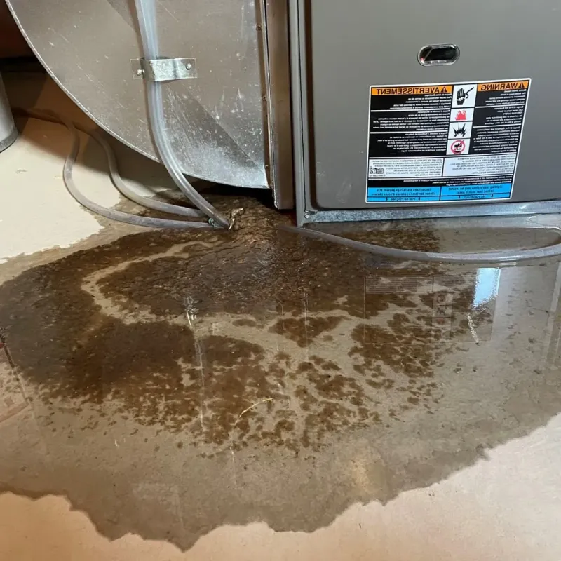 Pipe Burst and Leak Restoration in Ferry County, WA