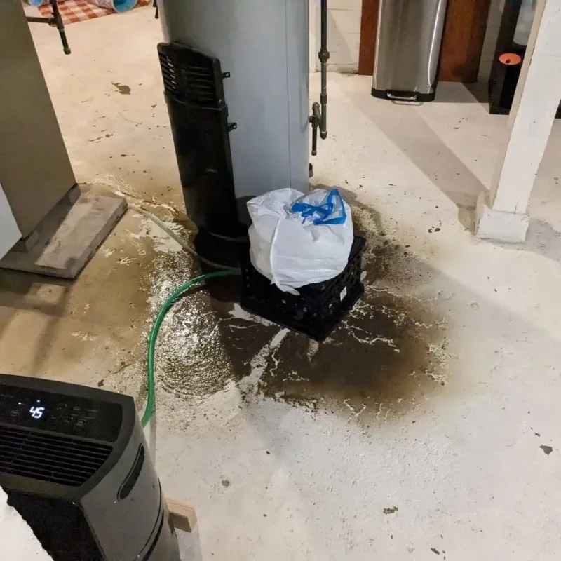 Sewage Backup Cleanup Service in Ferry County, WA